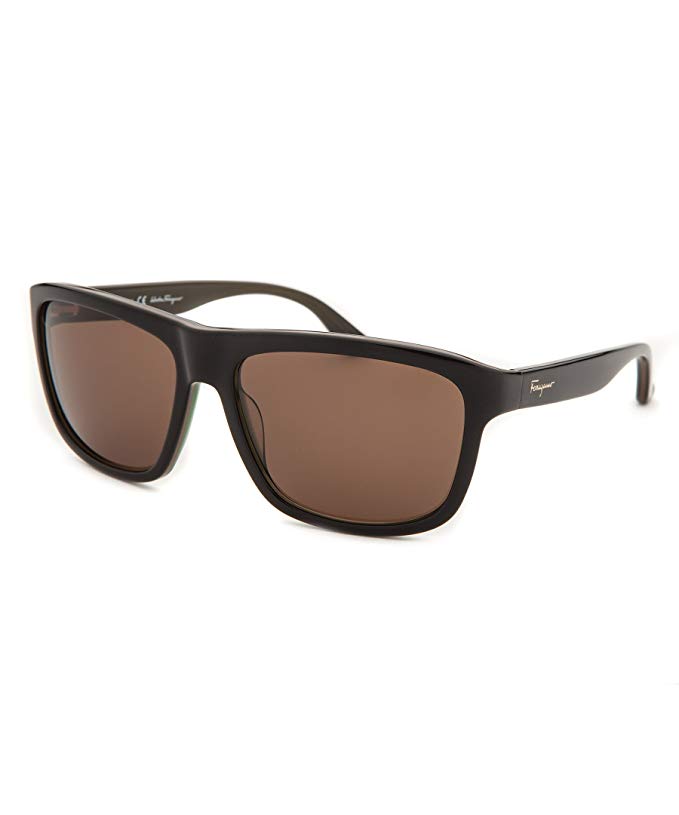 Salvatore Ferragamo Wayfarer Style Sunglasses in Khaki Cord SF710S 320 57